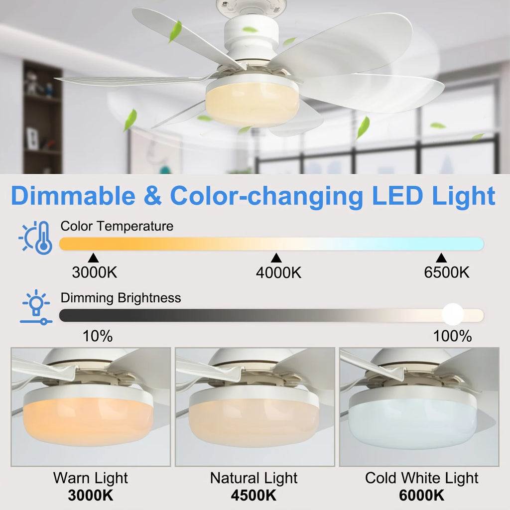 Ventilador de Techo LED con Control Remoto y Luz Regulable - M&M Lamp Studio