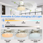 Ventilador de Techo LED con Control Remoto y Luz Regulable - M&M Lamp Studio
