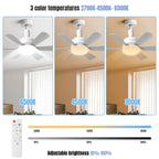 Lámpara Ventilador LED Silenciosa 3 Velocidades - M&M Lamp Studio