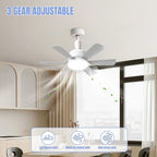 Lámpara Ventilador LED Silenciosa 3 Velocidades - M&M Lamp Studio
